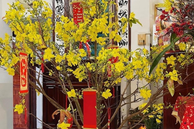 南部の家庭では黄色のお花を飾る